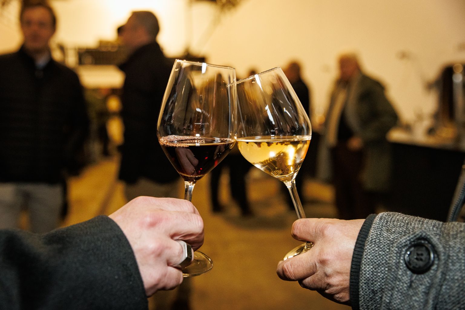 Congrès CSD 2025 - 542.jpeg